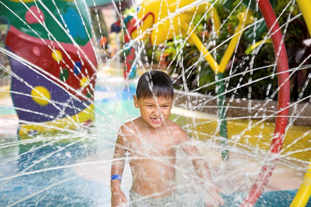 Hilton Garden Inn San Jose/Milpitas Tiện nghi bức ảnh
